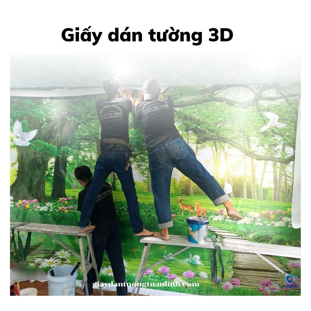 Giấy dán tường 3D