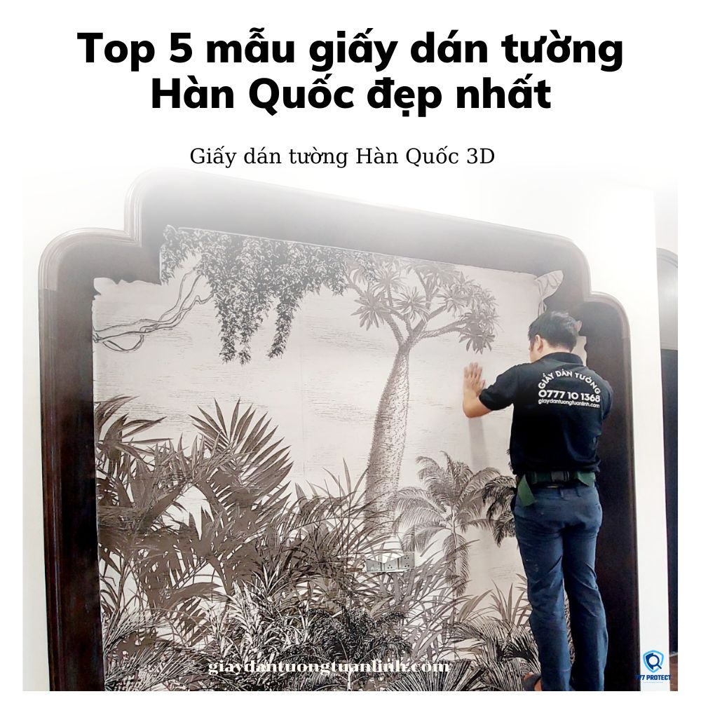 Giấy dán tường Hàn Quốc 3D